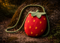 Himalayan Strawberry Joy Wool Bag